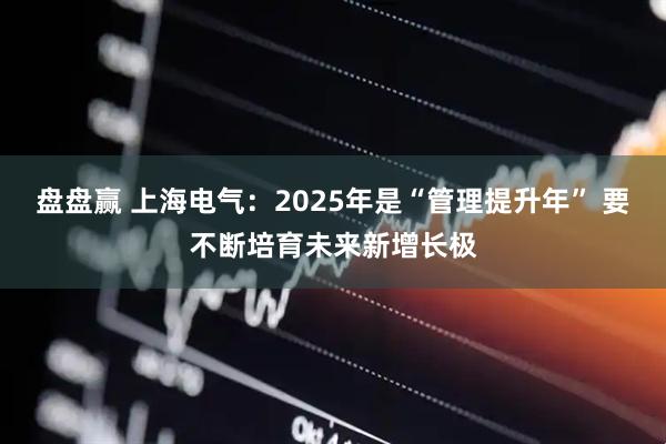盘盘赢 上海电气：2025年是“管理提升年” 要不断培育未来新增长极