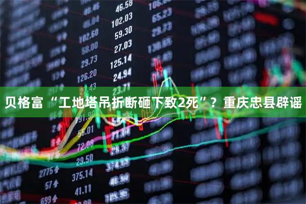 贝格富 “工地塔吊折断砸下致2死”？重庆忠县辟谣